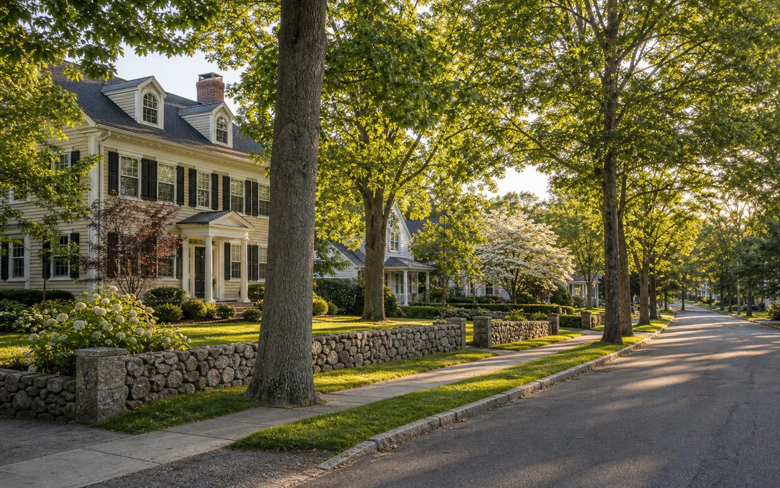 Tree-lined Greater Lowell and Nashoba neighborhood with classic homes
